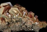 Deep Red Vanadinite Crystals - Morocco #42201-2